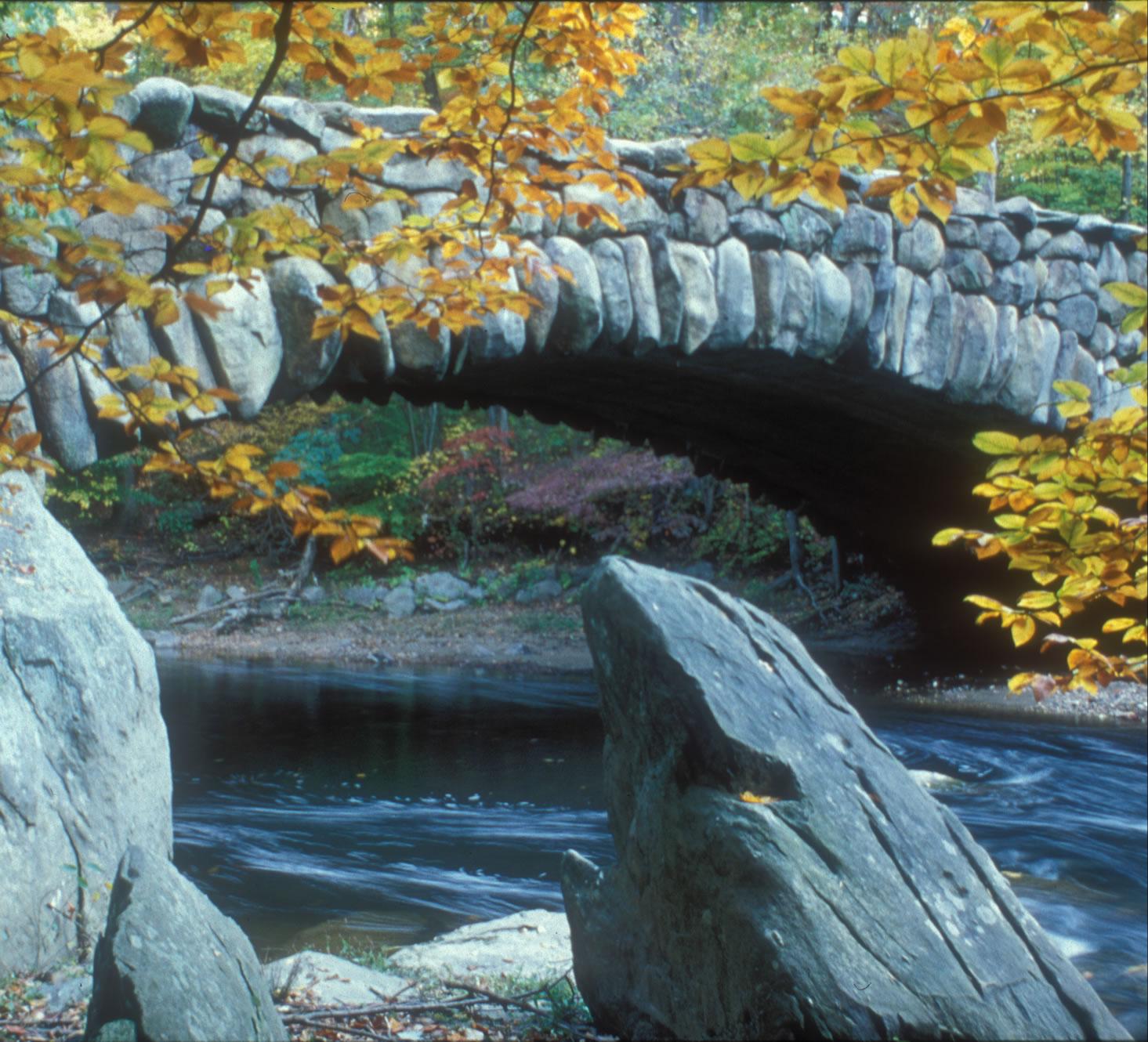 District of Columbia landscape