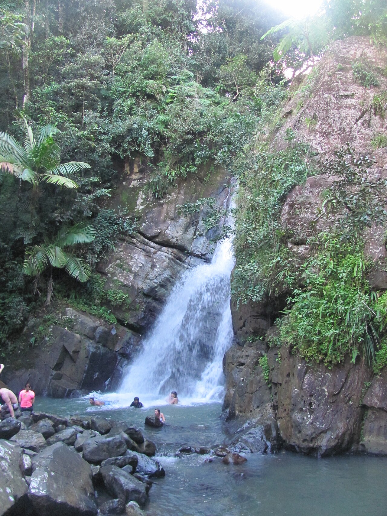 Puerto Rico landscape
