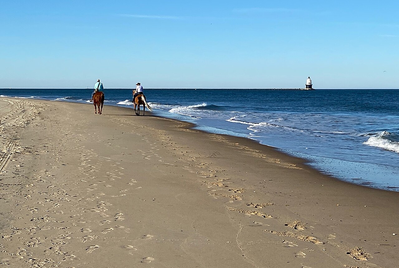 Delaware landscape