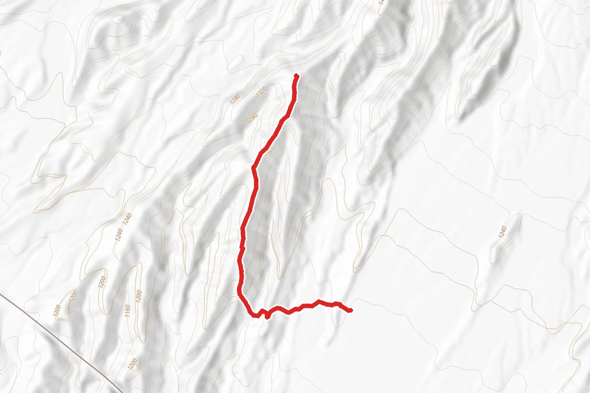 Anniversary Trail-Red Line