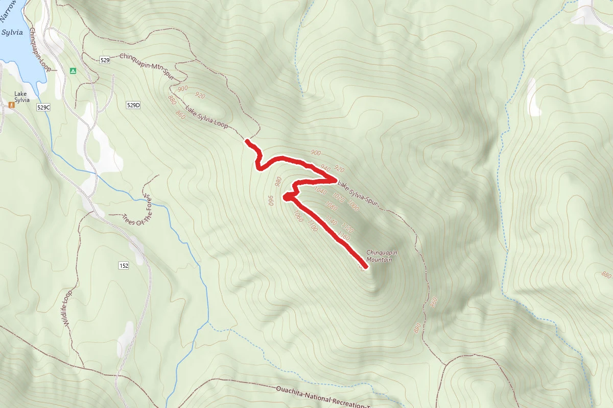 Lake Sylvia Loop