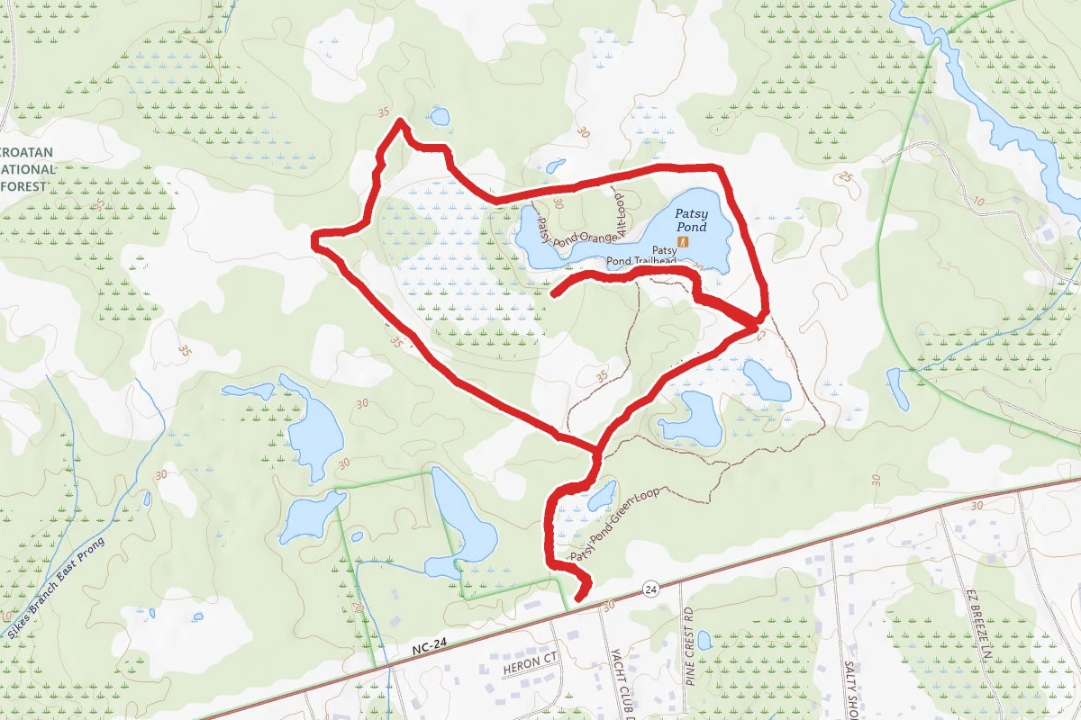 Patsy Pond Nature Trail Loop