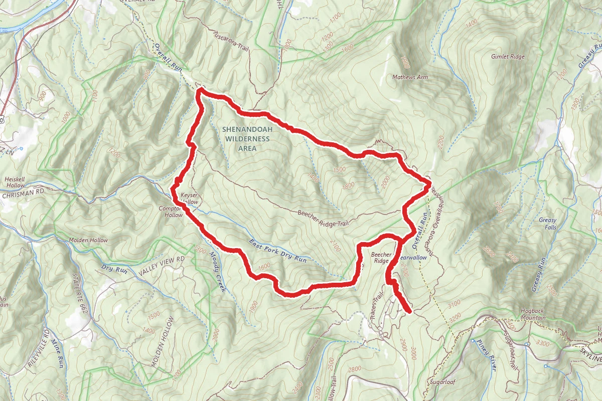 Mathews Arm Overall Run Trail