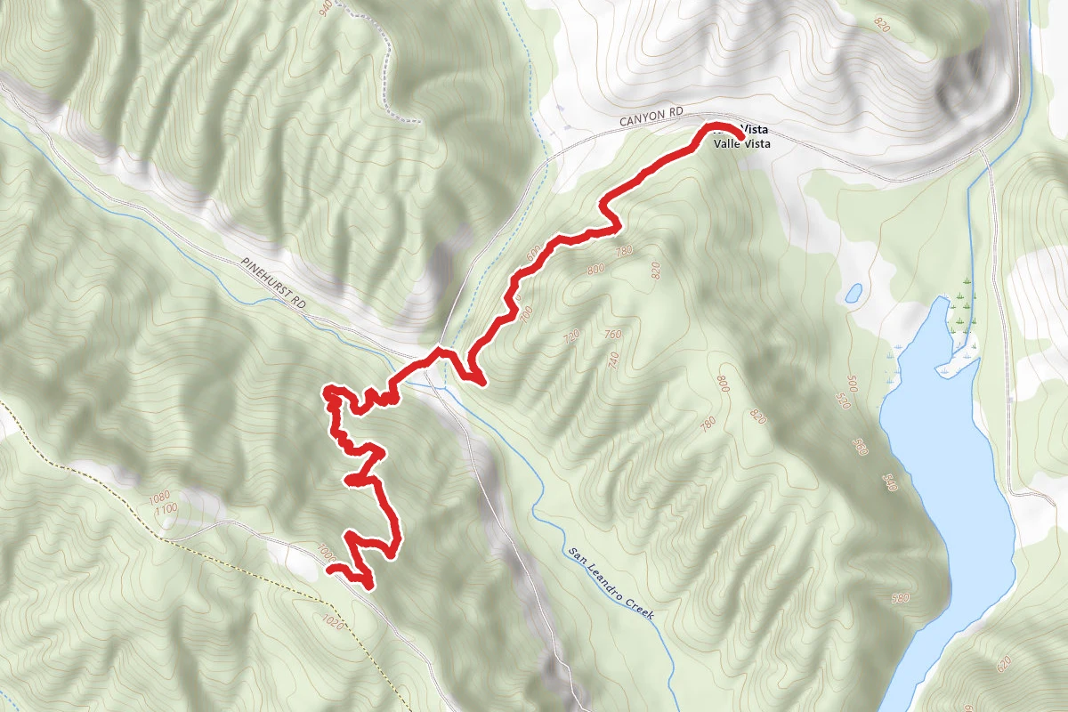 Redwood Trail