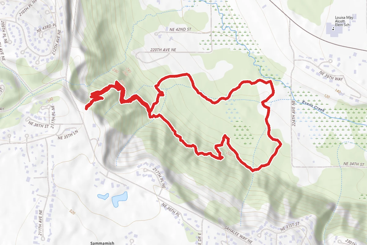 Evans Creek Preserve from Sahalee Way