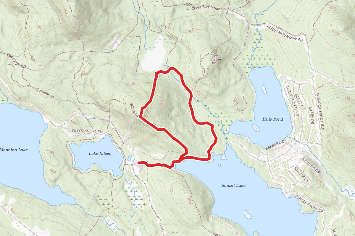 Mount Shannon Trail