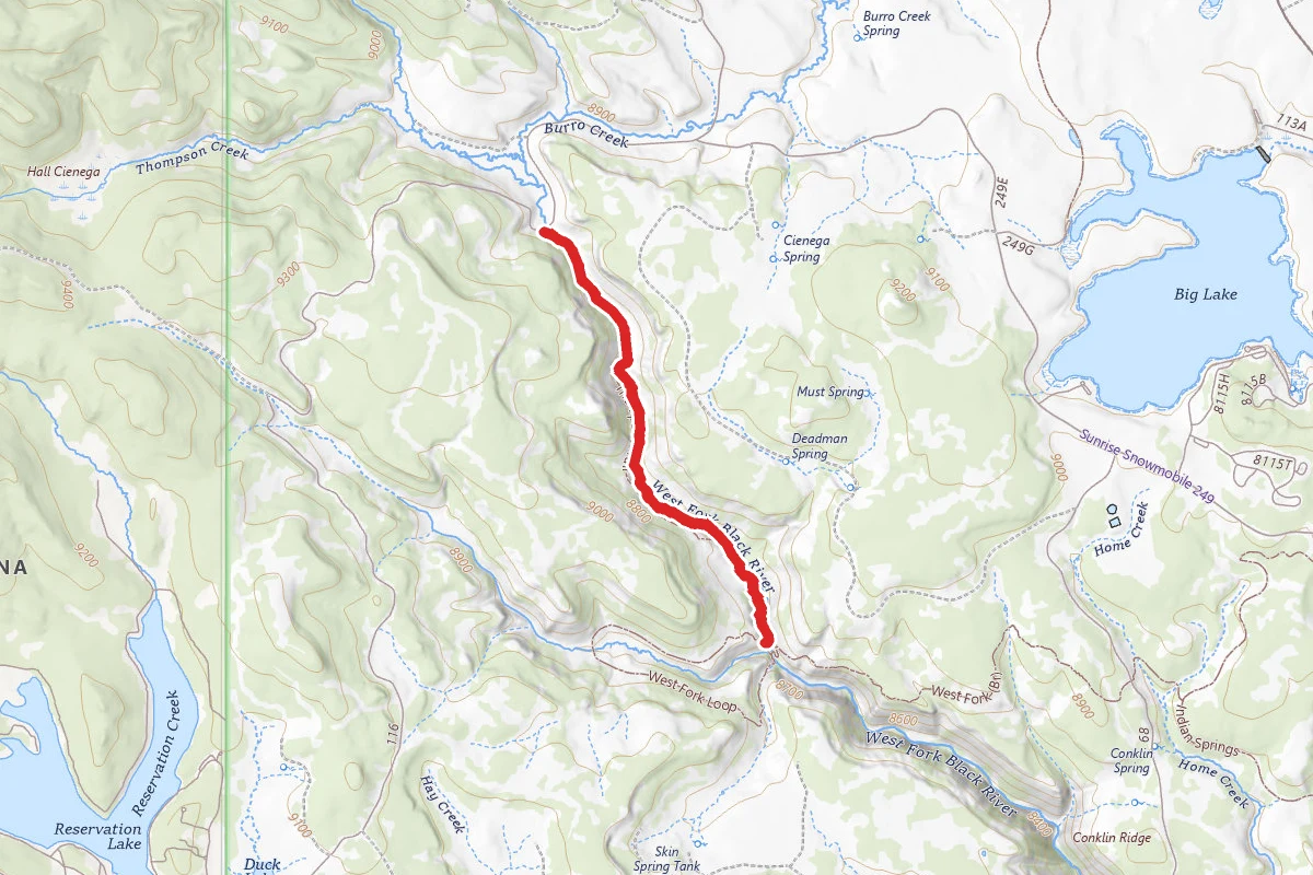 Thompson Trail #629