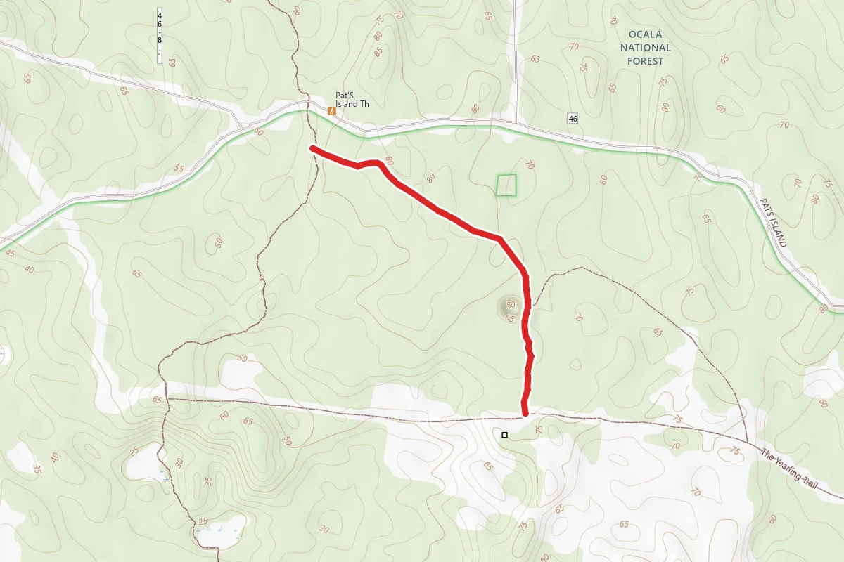 The Yearling Trail