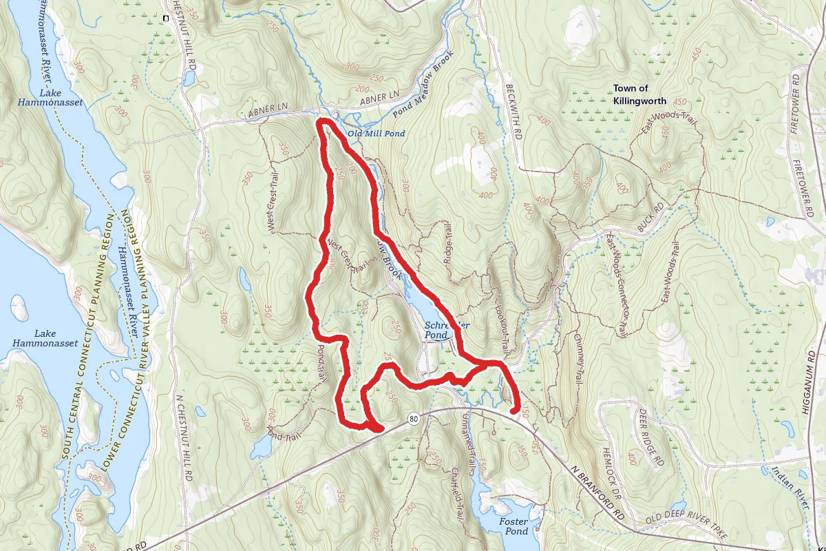 Deep Woods Trail