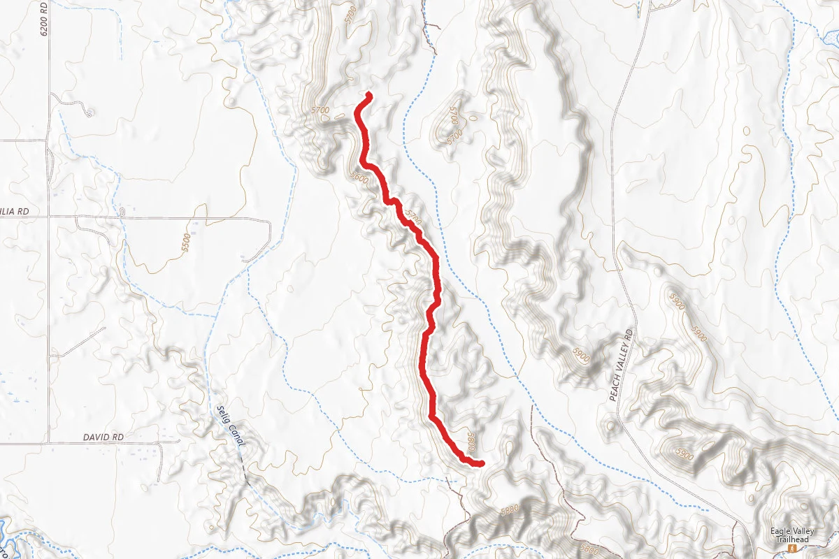 Edge Trail