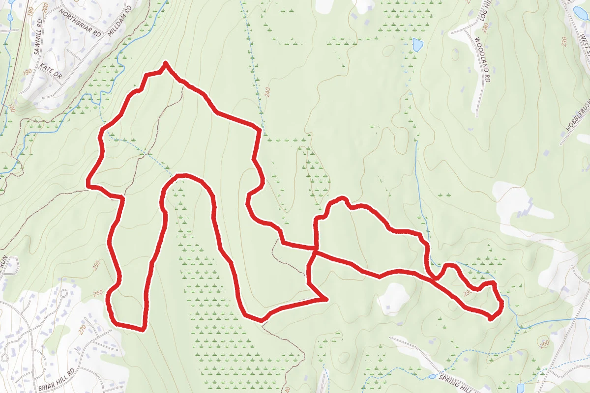 Spring Hill Yellow and Blue Loop Trail