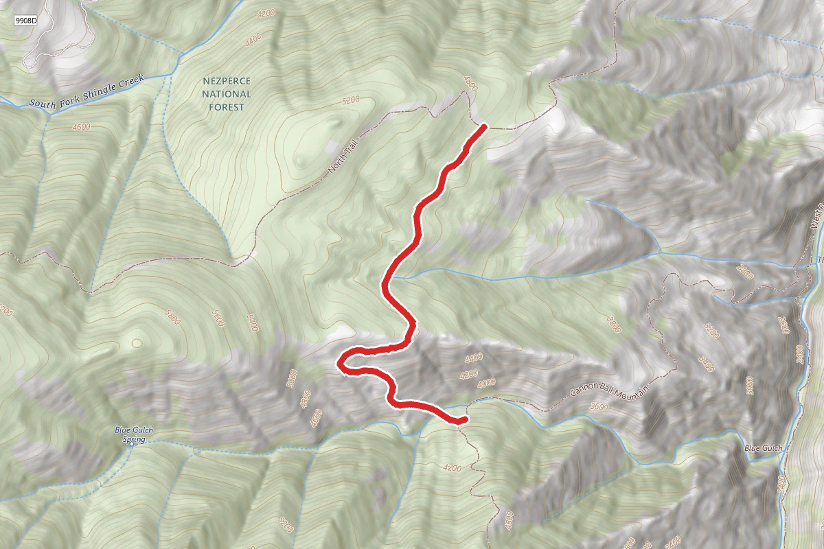Thorn Gulch