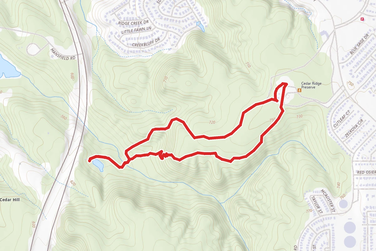 Escarpment and Cattail Pond Loop