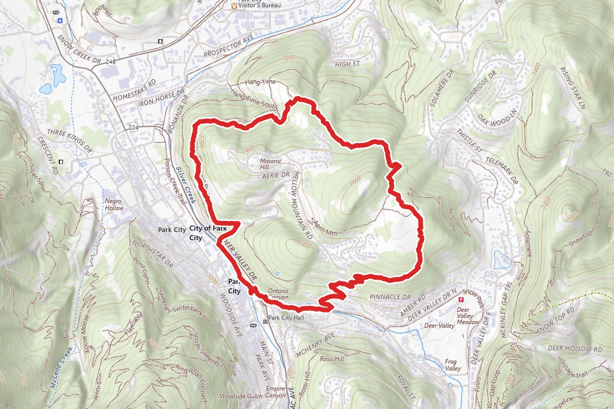 Gambel Oak Loop
