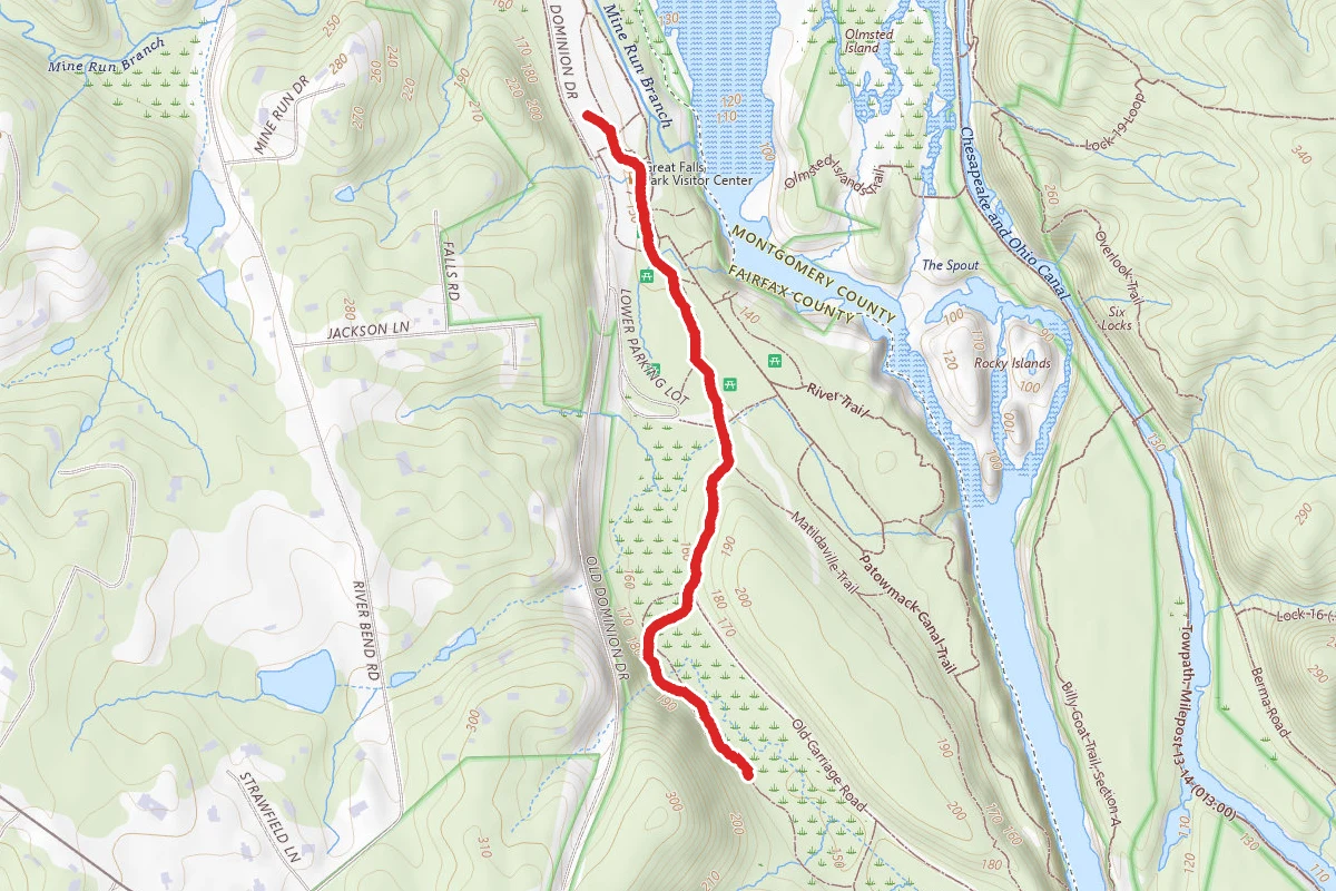 Swamp Trail
