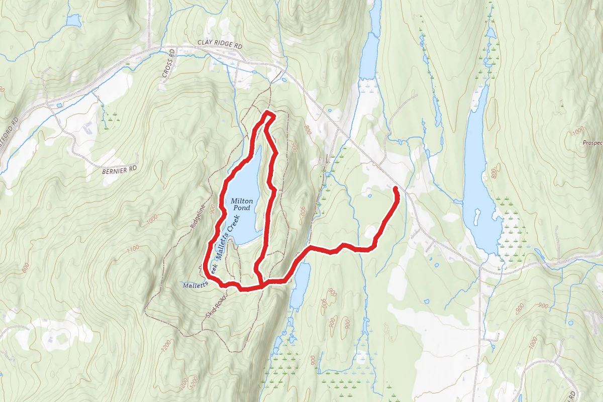 Milton Town Pond Trail