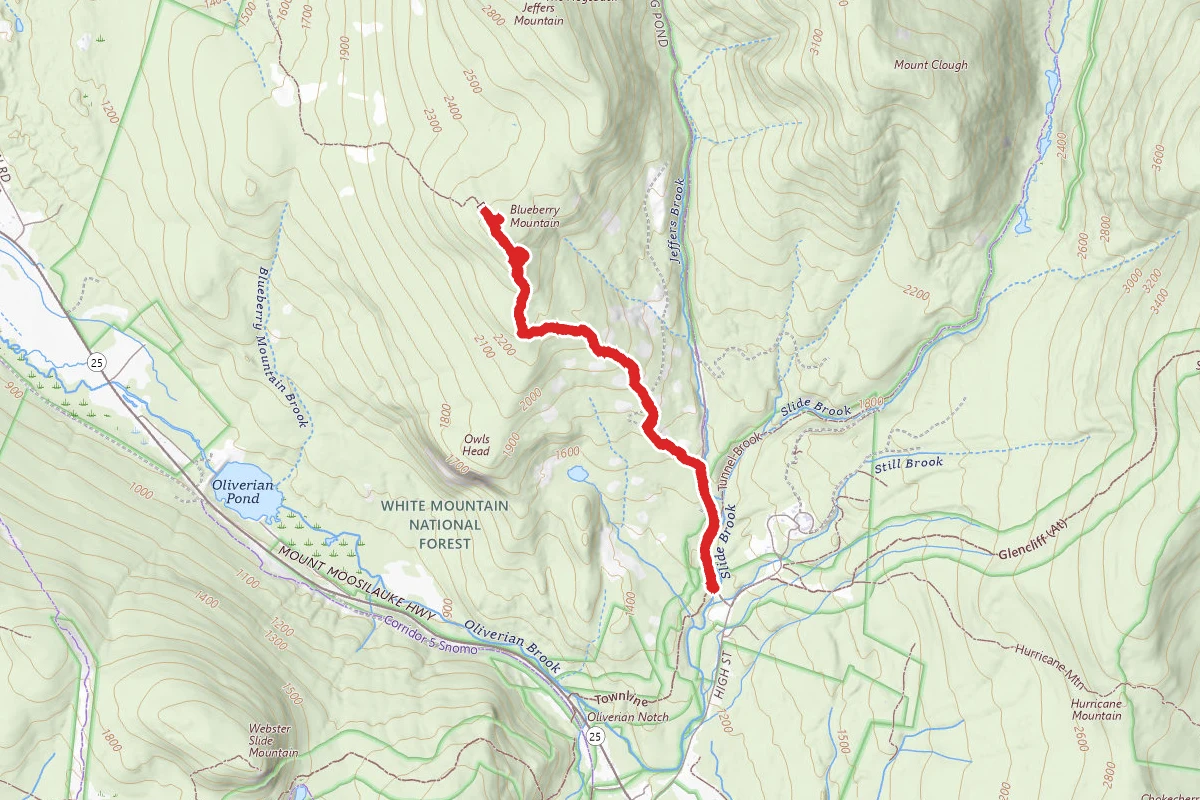 Blueberry Mountain Trail