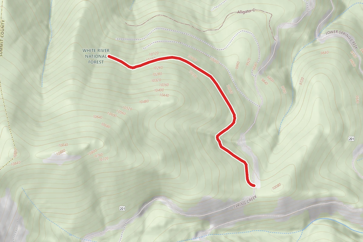 Alligator F Trail