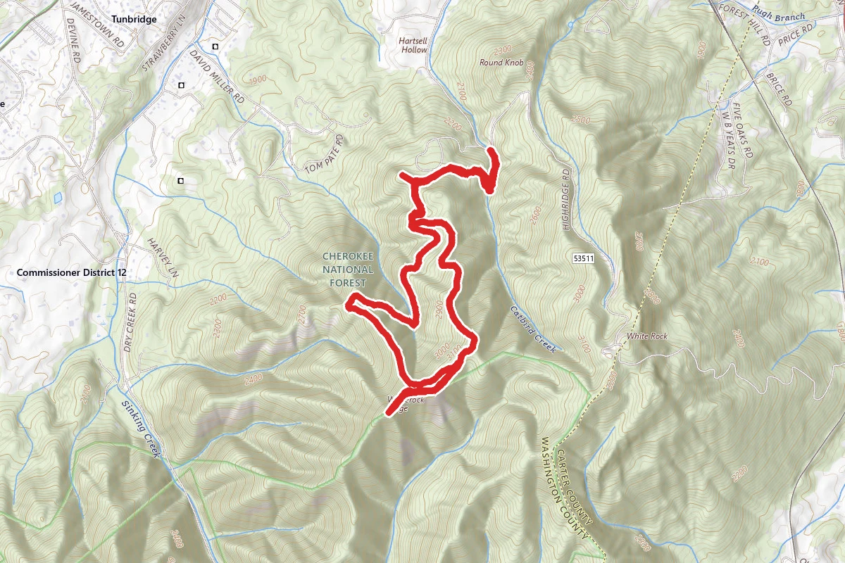 Buffalo Mountain Tip Top Trail via White Rock Loop and Fork Knob