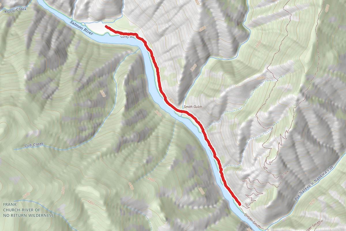 Salmon River