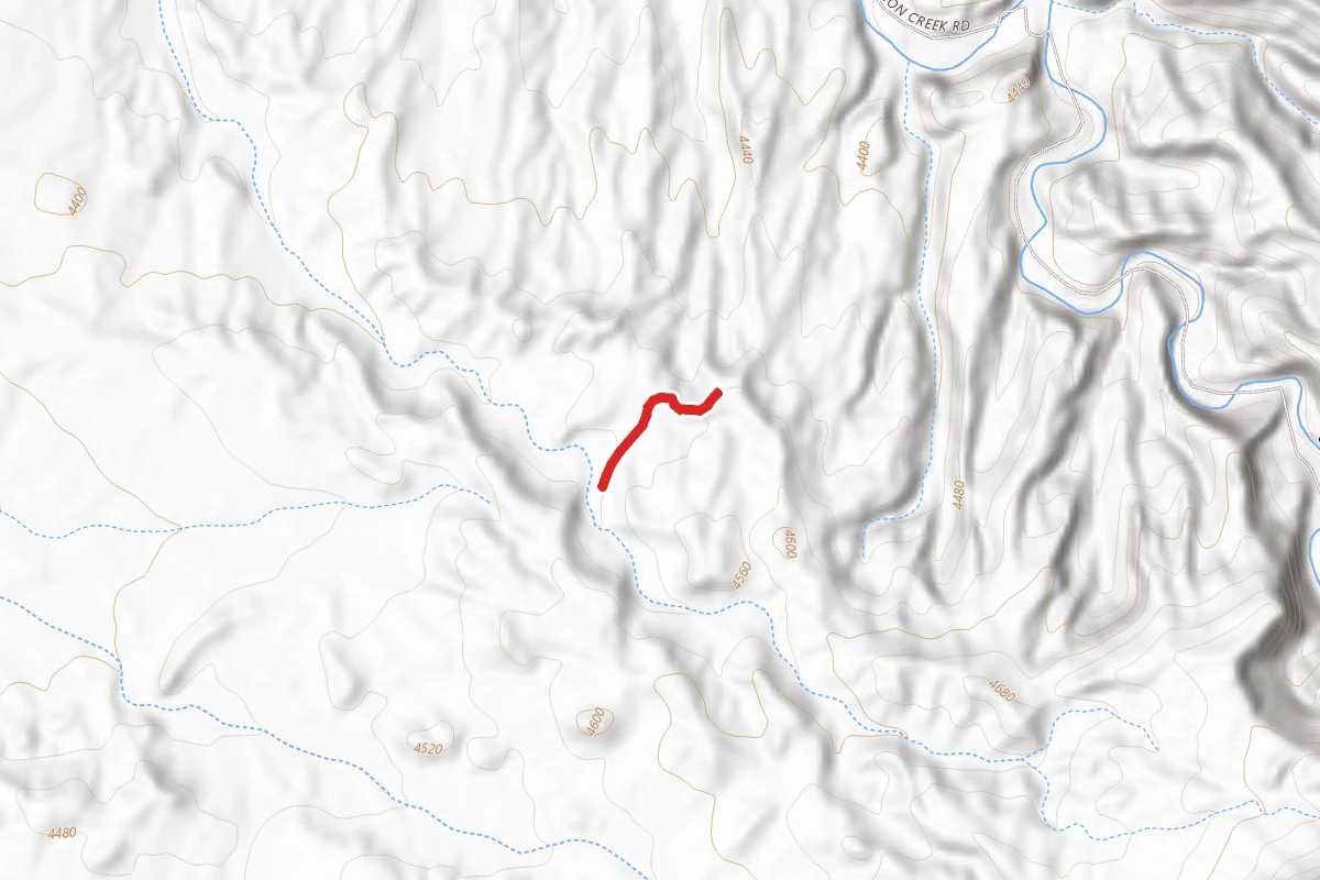 Onion Creek Loop