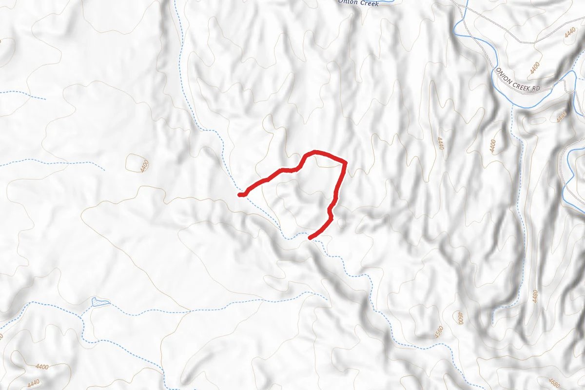 Onion Creek Loop