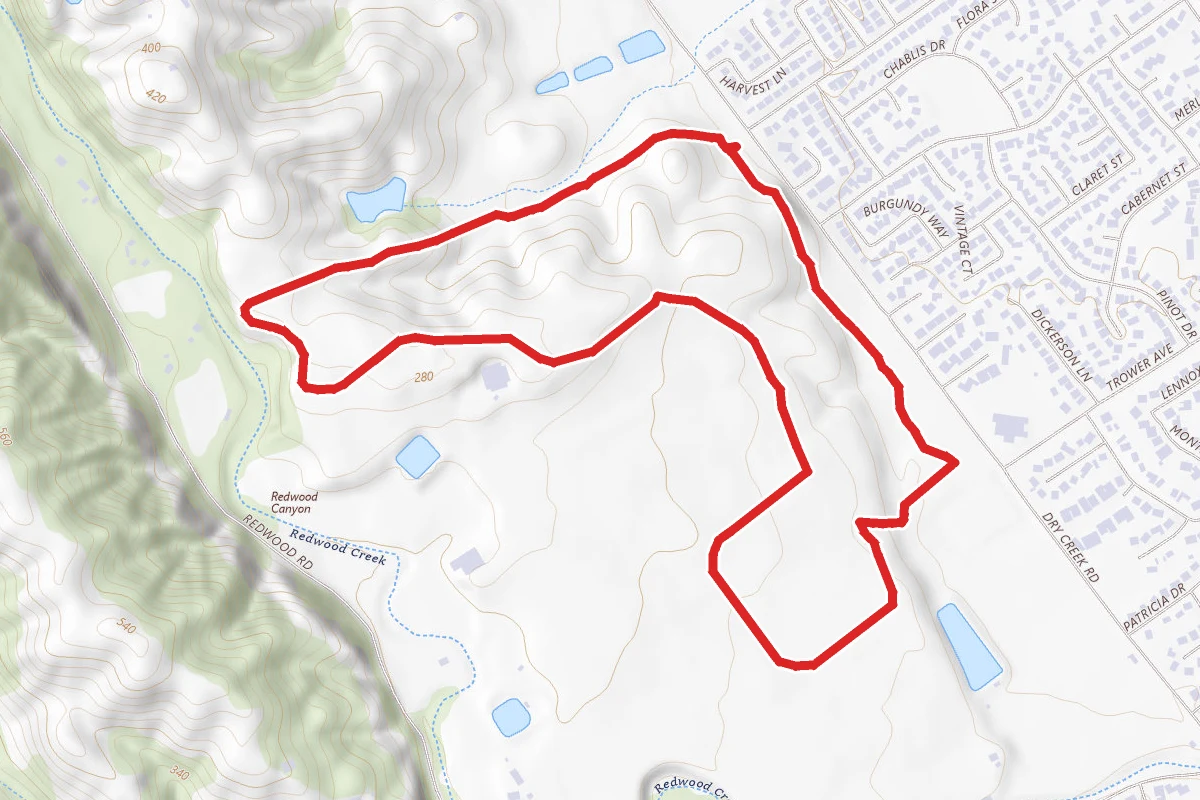 Alston Park Loop Trail