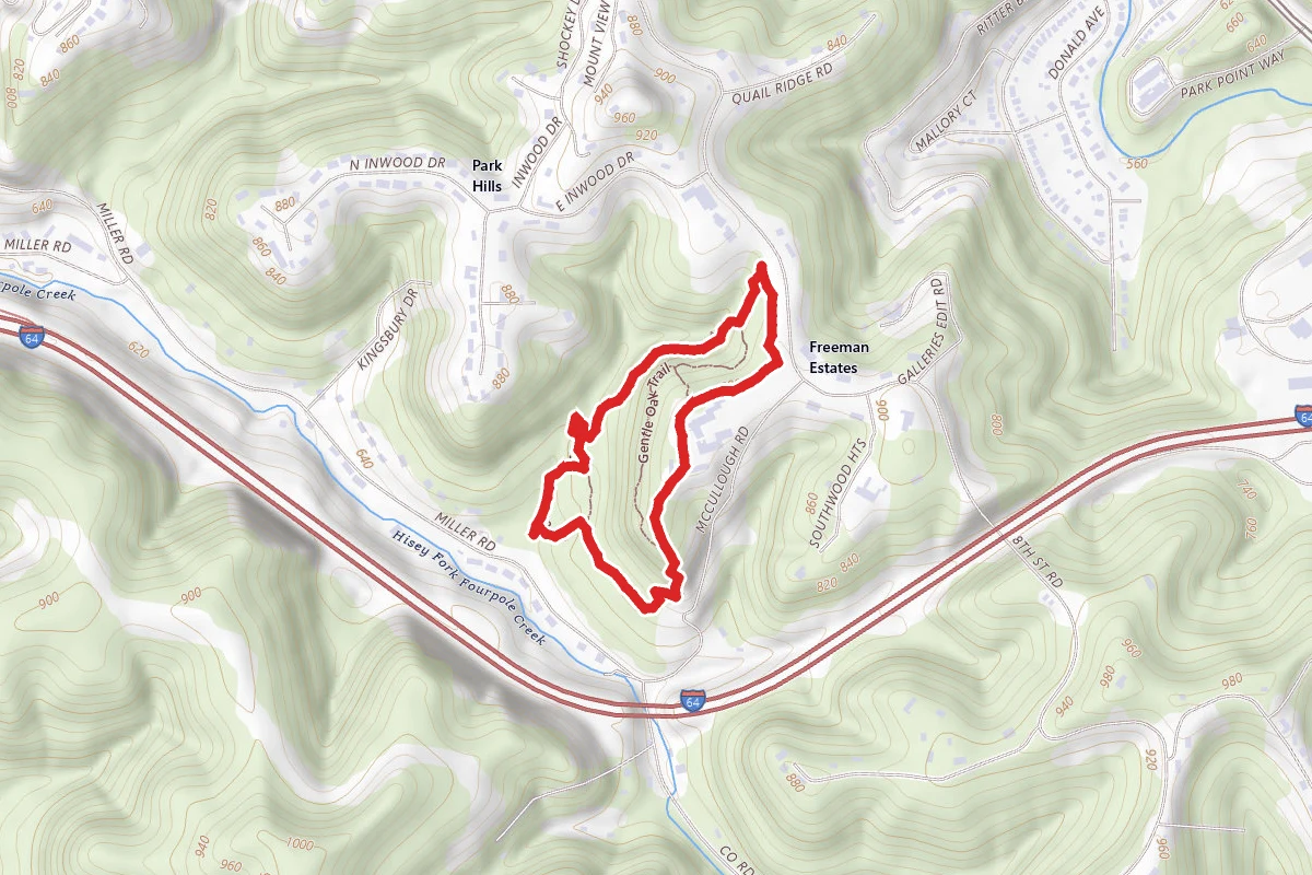 Tulip Tree to Gentle Oak Trail Loop