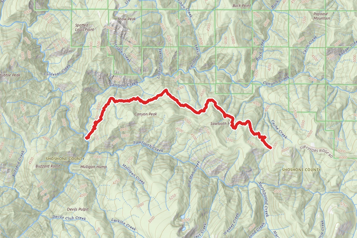 Surveyor's Ridge