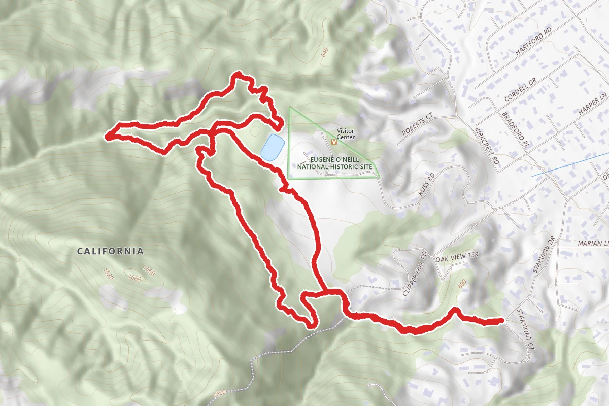 Del Amigo Trail to Madrone and Virgil Williams Trail