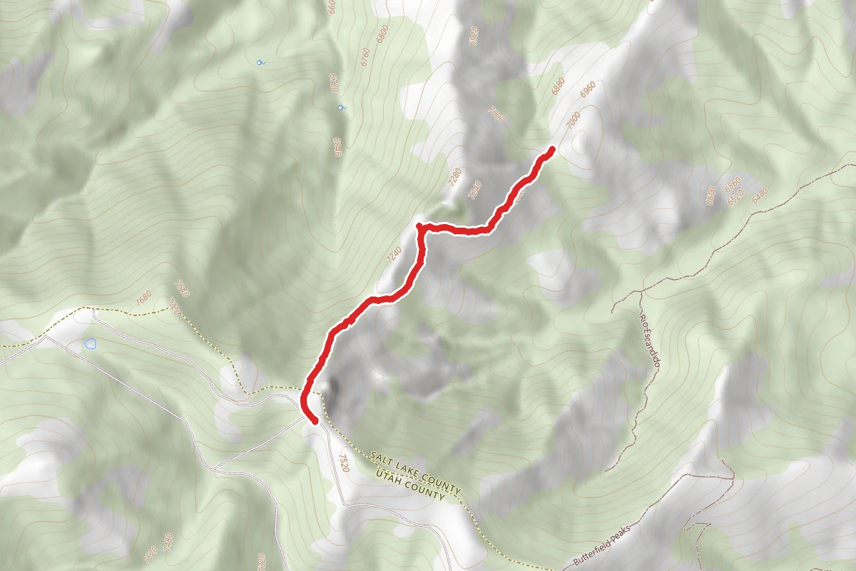 Rose Ridge