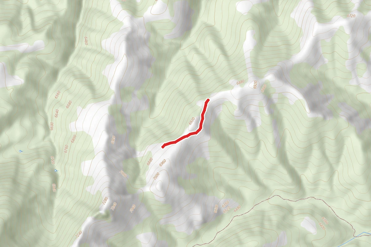 Rose Ridge