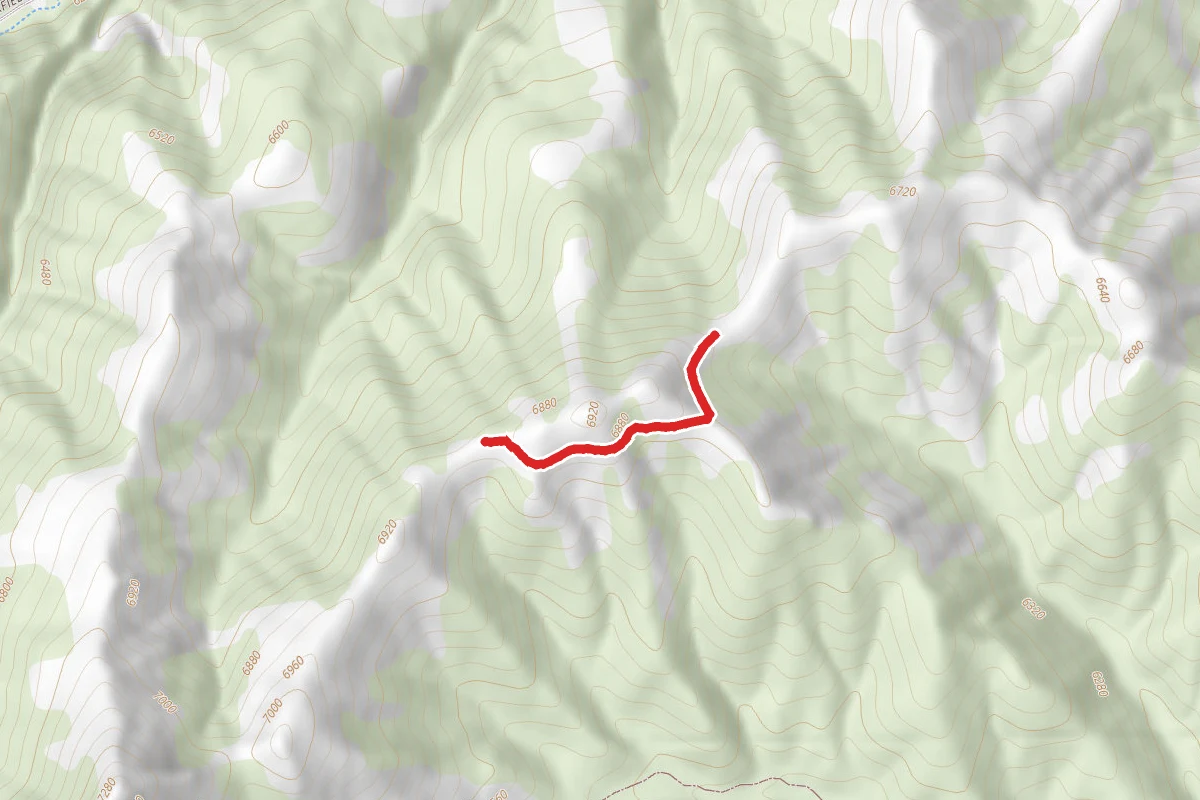 Rose Ridge