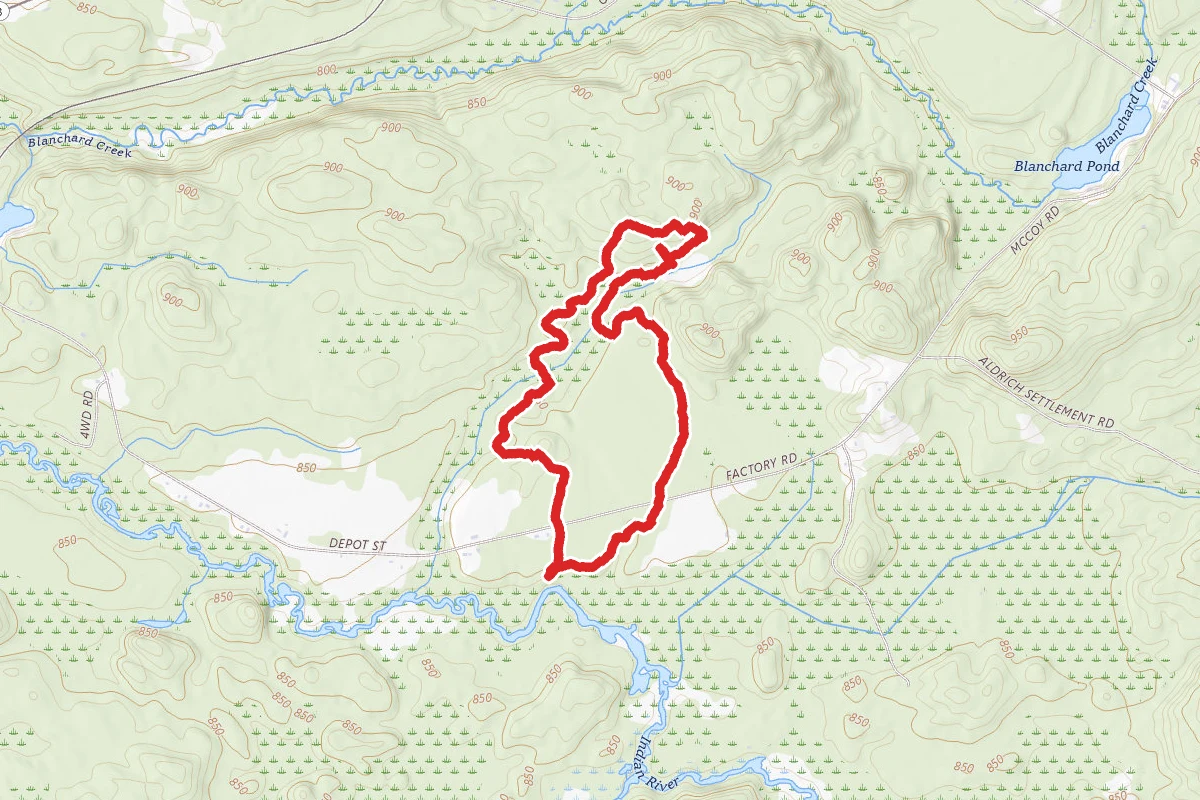 Baker Woods Preserve