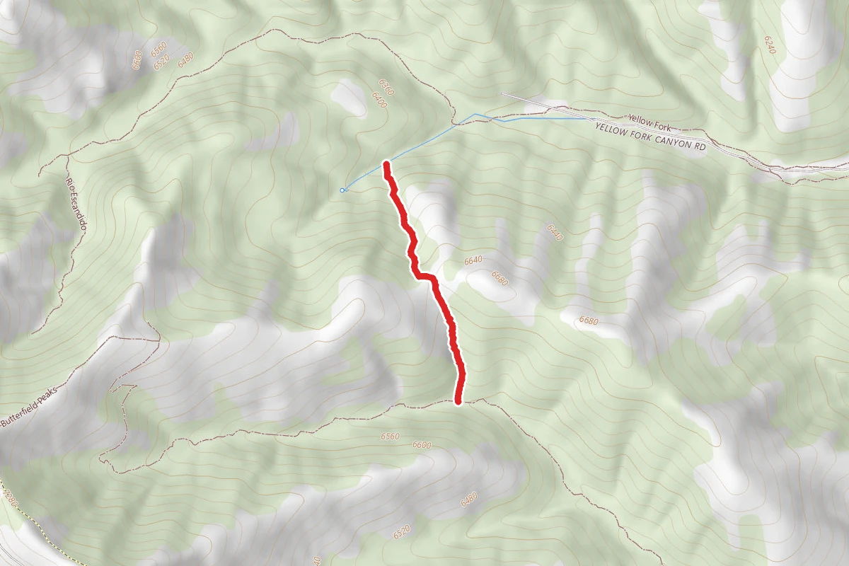 Maple Gulch