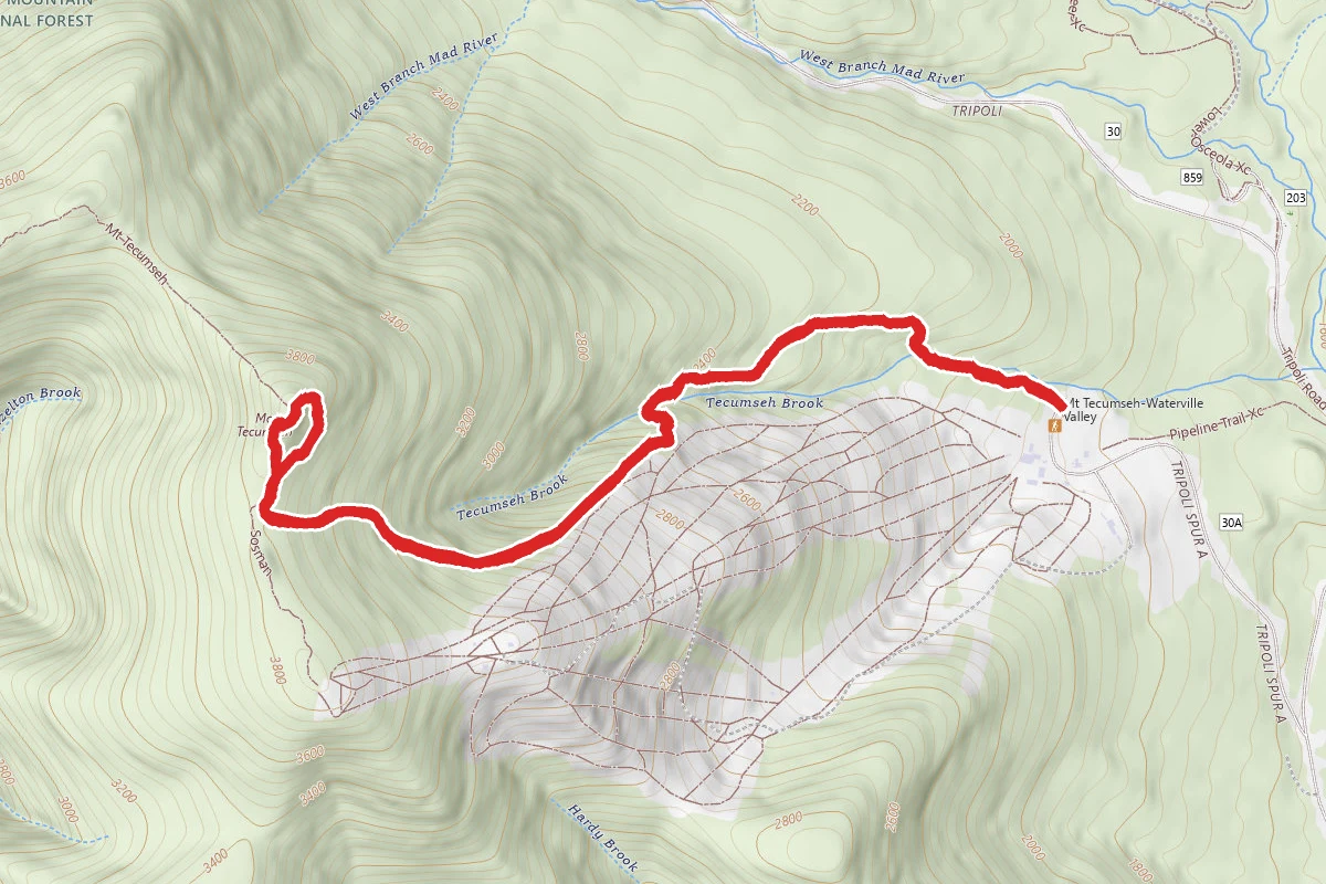Mount Tecumseh Trail