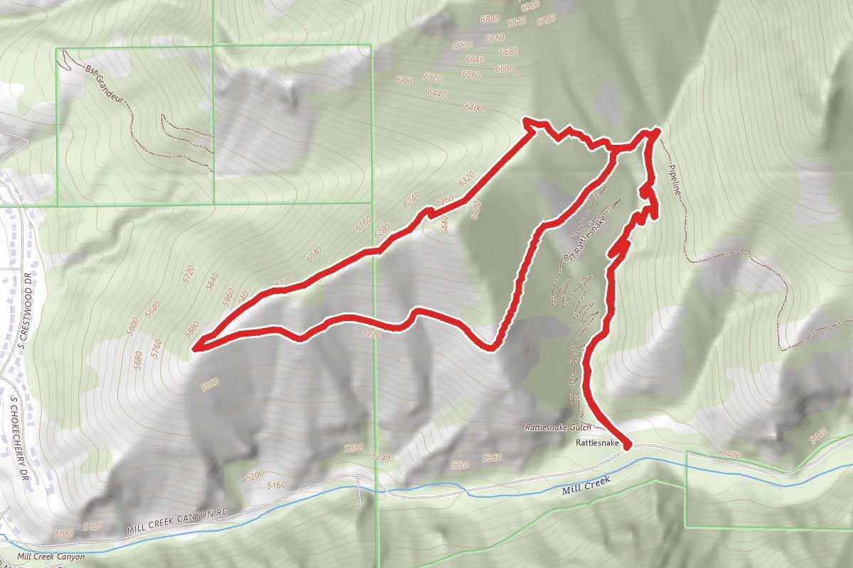 Rattlesnake Loop