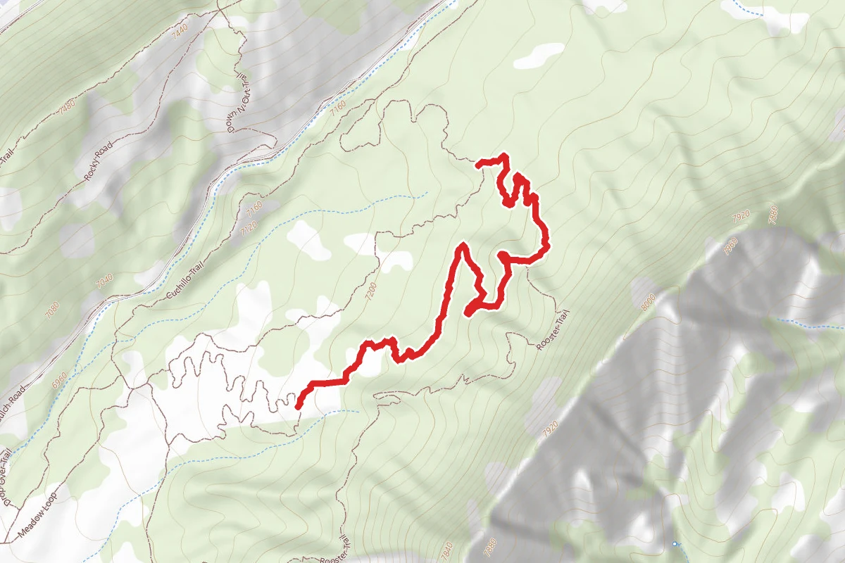 Mike's Trail