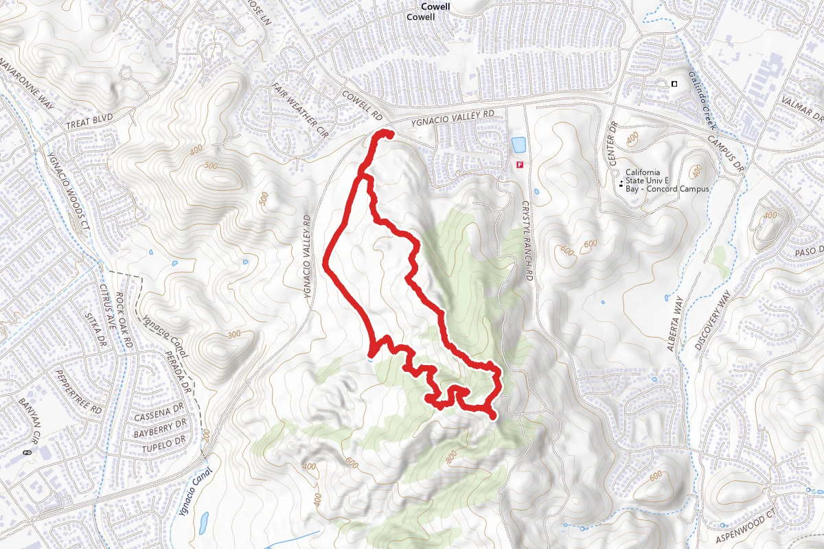 Ohlone Trail to Buckeye Loop
