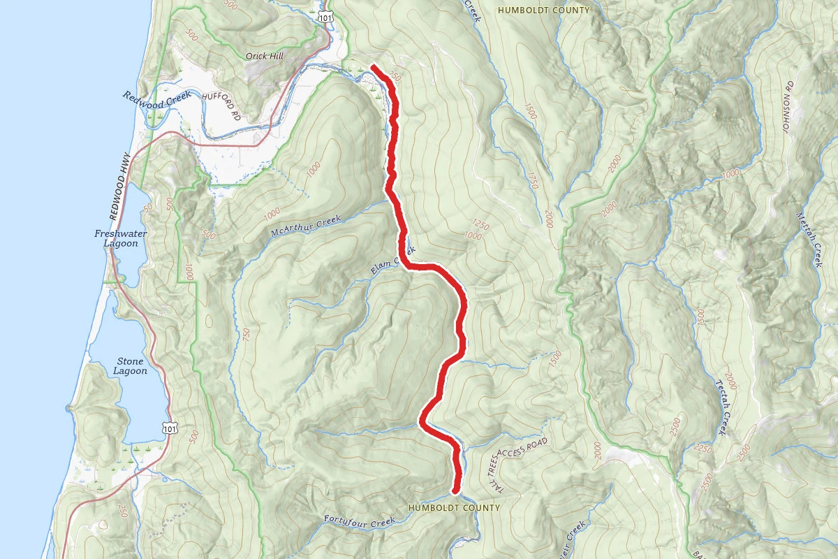 Redwood Creek Trail