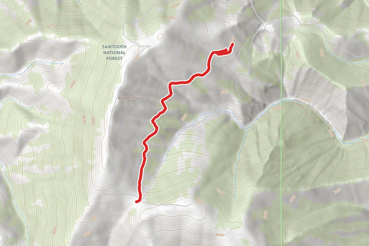 Lupine Trail