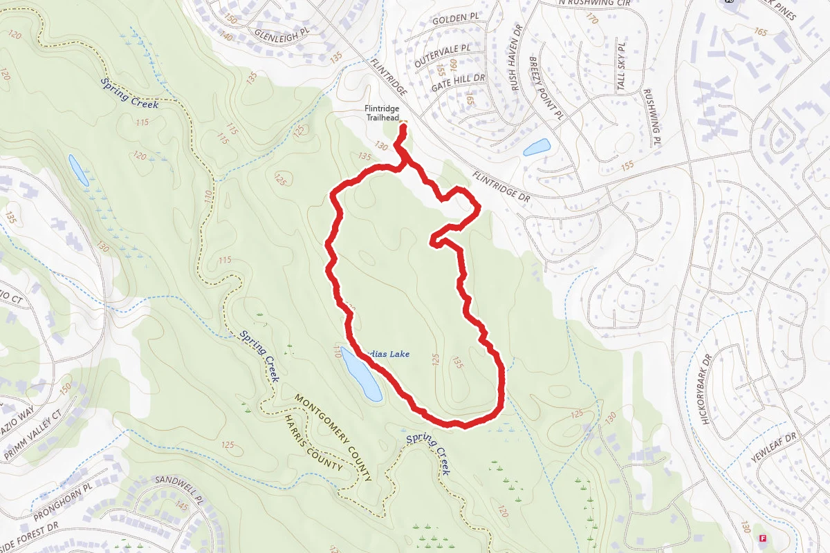 Fitness Loop
