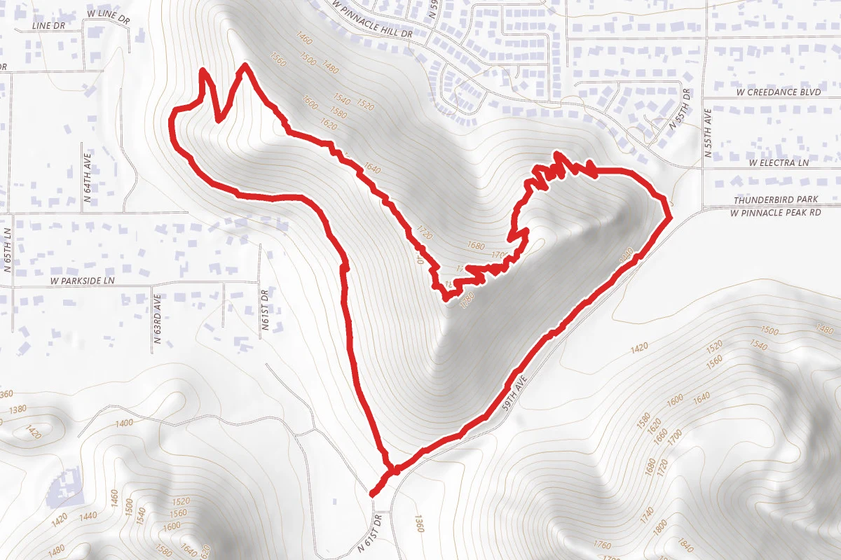 Cholla Loop