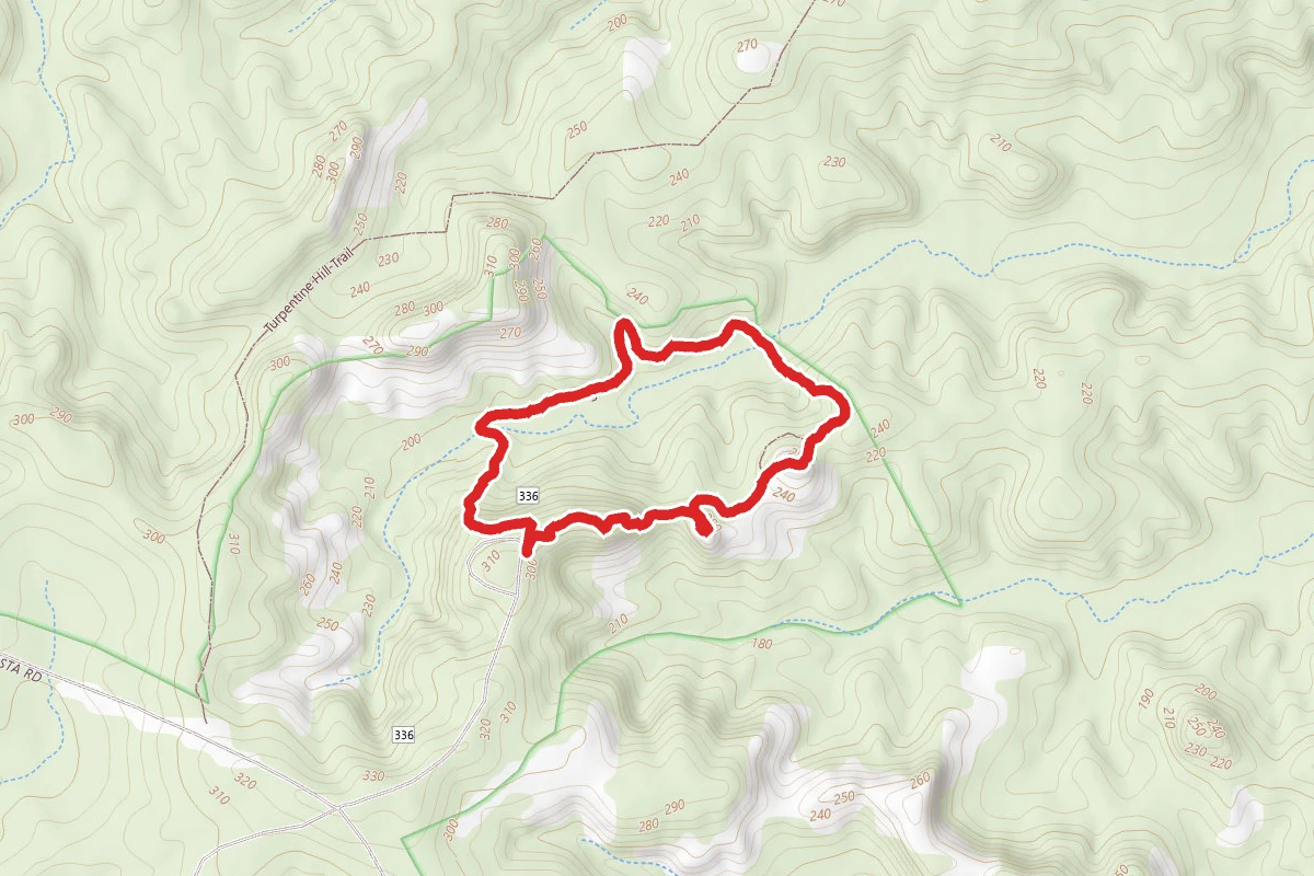 Longleaf Vista Interpretive Trail