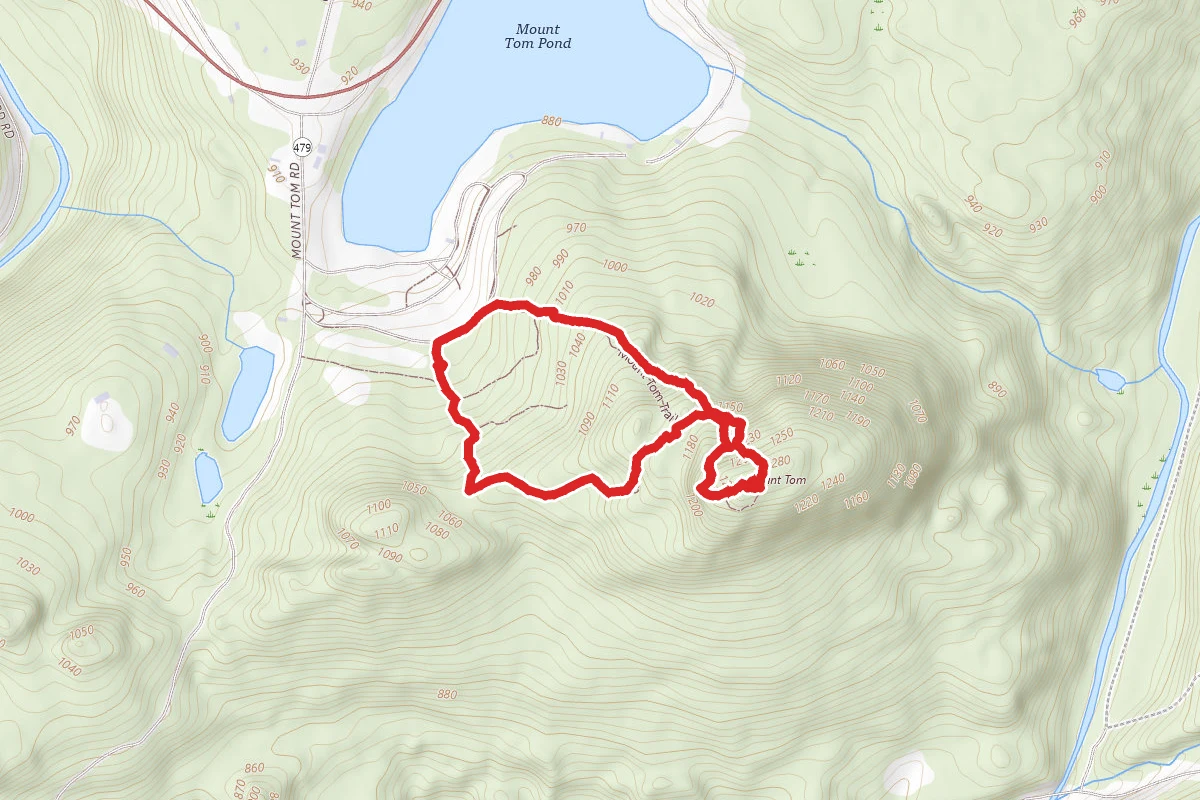 Mount Tom Tower Trail