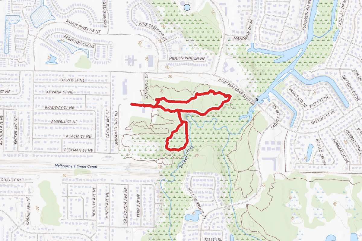 Sand Pine Ridge Trail to Hammock Loop Trail