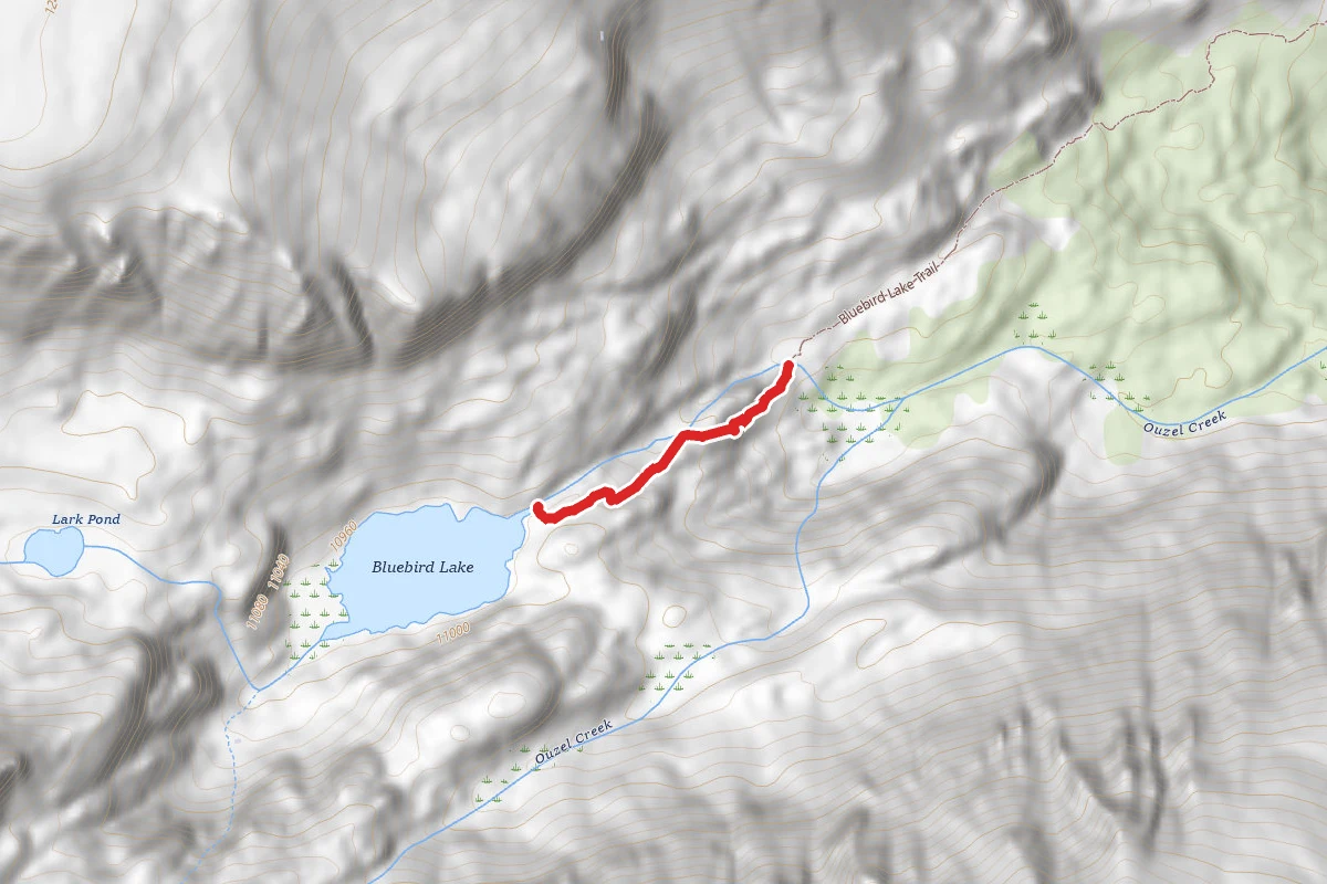 Bluebird Lake Trail