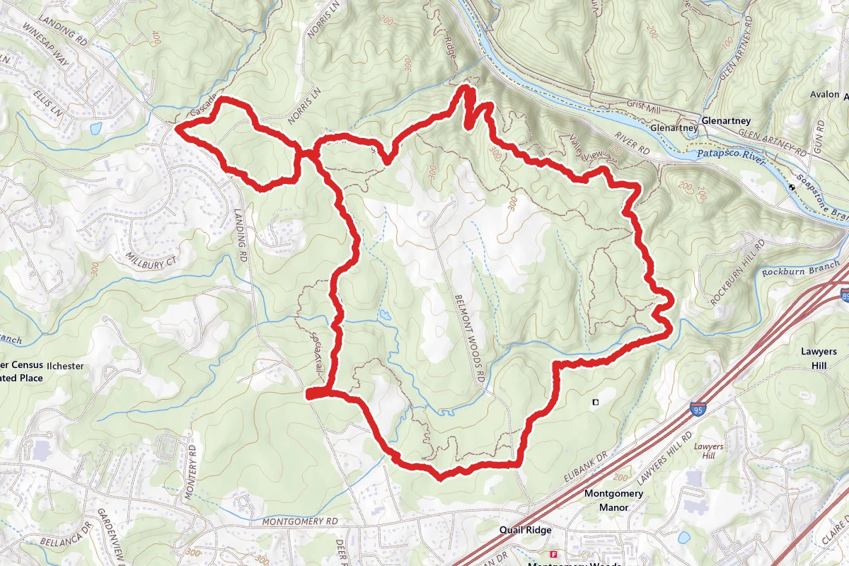 Rockburn Trail to Morning Choice Trail Loop