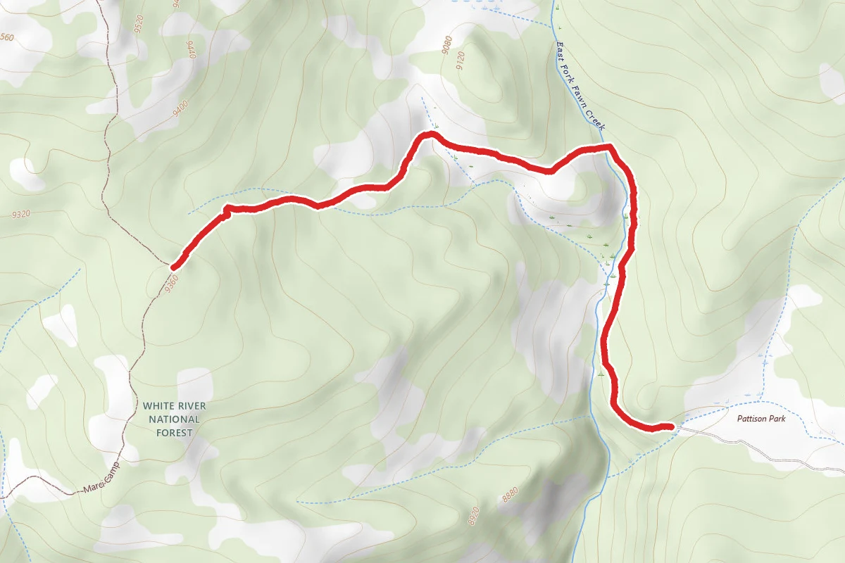 Pattison Park Trail