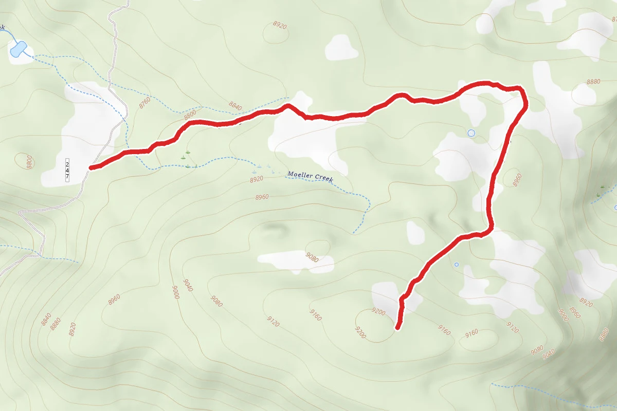 Log Spring Trail